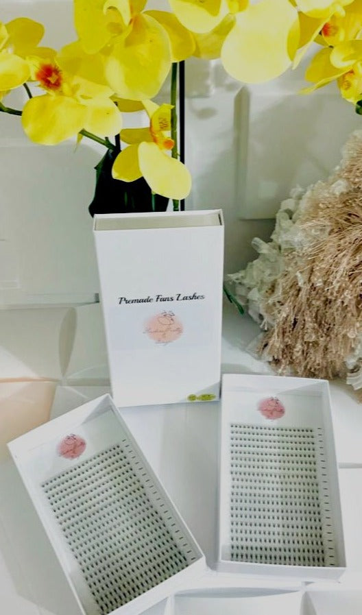 1 EXTENCIONES DE PESTAÑAS PREARMADA  12D  Mix